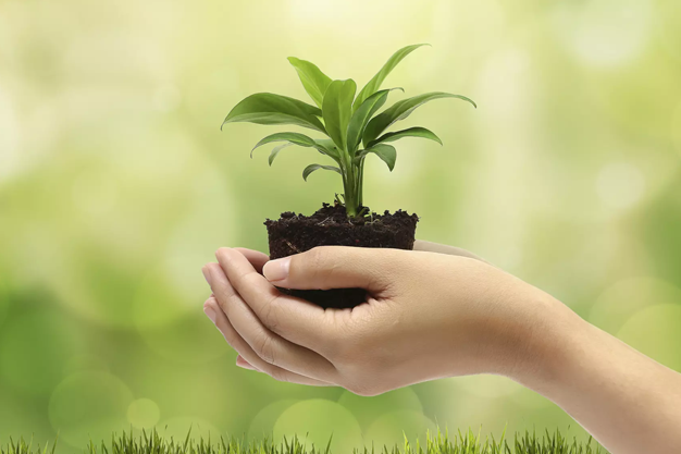 Eco-amigable